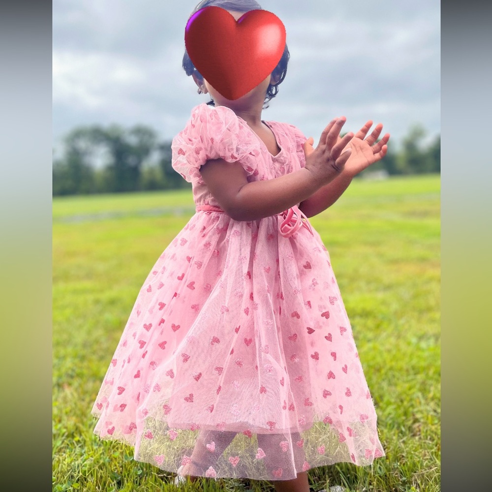 Ivy City co baby girl Adore you Pink Tulle Dress size 12-18 months